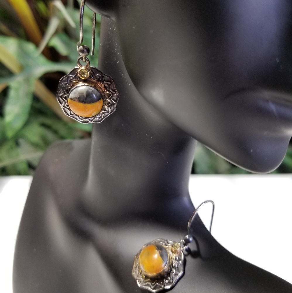 RAVISHING EARRINGS NWOT